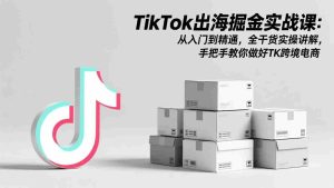 （17368期）TikTok出海掘金实战课：从入门到精通，全干货实操讲解，手把手教你做好TK跨境电商-网创资源