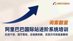 （17335期）阿里巴巴国际站进阶系统培训，实战干货、强可落地、全链路拆解，实现月均询盘量翻倍-网创资源