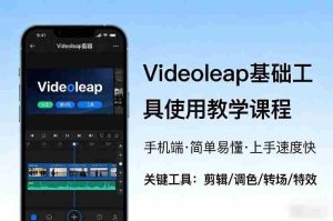 Videoleap基础工具使用教学课程，手机端视频剪辑教学，简单易懂，上手速度快-网创资源