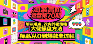 淘系高阶运营第70期，解决难点、改内外销策略，大佬操盘方法，标品从0到爆款全过程-网创资源
