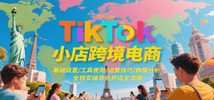 TikTok小店跨境电商，基础设置/工具使用/运营技巧/数据分析，全程实操导向开店全流程-网创资源