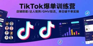 （15920期）TikTok爆单训练营，店铺搭建/达人矩阵/GMV投流，单日破千单实操-网创资源