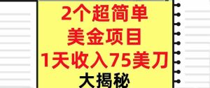 2个超简单美金项目，1天收入75美刀，3分钟学会，内部教程（大揭秘）-网创资源