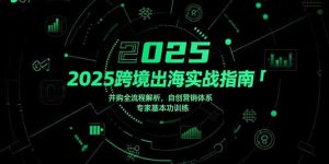 （15503期）2025跨境出海实战指南，并购全流程解析，自创营销体系，专家基本功训练-网创资源