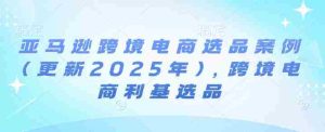 亚马逊跨境电商选品案例(更新2025年10月)，跨境电商利基选品-网创资源