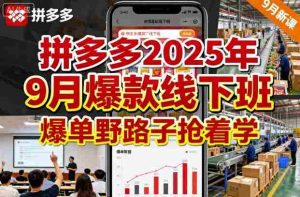 拼多多2025年9月爆款线下班，爆单野路子抢着学-网创资源
