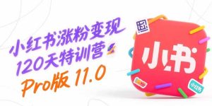 （15432期）小红书涨粉变现120天特训营Pro版11.0：从0到1掌握平台运营,内容制作和变现-网创资源