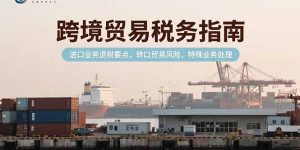 （15381期）跨境贸易税务指南，进口业务退税要点，转口贸易风险，特殊业务处理-网创资源