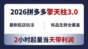 （18129期）2026拼多多擎天柱 3.0-更新4月20：最新起店玩法，标品生鲜全覆盖，2小时起量当天带利润-网创资源