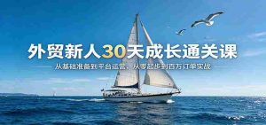 外贸新人30天成长通关课：从基础准备到平台运营，从零起步到百万订单实战-网创资源