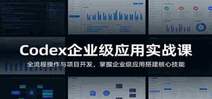 Codex企业级应用实战课：全流程操作与项目开发，掌握企业级应用搭建核心技能-网创资源
