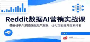 Reddit数据AI营销实战课：借鉴谷歌AI思路挖掘用户洞察，优化页面提升搜索排名-网创资源
