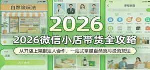 2026微信小店带货全攻略：从开店上架到达人合作，一站式掌握自然流与投流玩法-网创资源