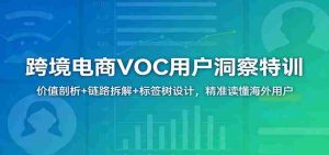跨境电商VOC用户洞察特训：价值剖析+链路拆解+标签树设计，精准读懂海外用户-网创资源