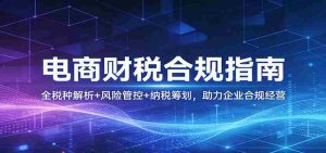 电商财税合规指南：全税种解析+风险管控+纳税筹划，助力企业合规经营-网创资源