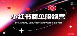 小红书商单陪跑营：新手从0起号，定位+爆款+接商单全程手把手陪跑-网创资源