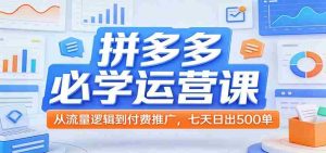 拼多多必学运营课：从流量逻辑到付费推广，七天日出500单-网创资源