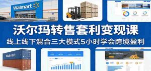 沃尔玛转售套利变现课：线上线下混合三大模式5小时学会跨境盈利-网创资源