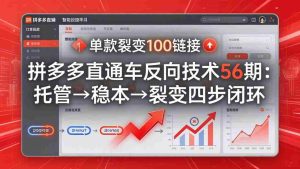 （17737期）拼多多直通车反向技术56期：托管→稳本→裂变四步闭环，单款裂变100链接抢占核心流量-网创资源