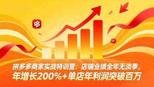 （17717期）拼多多商家实战特训营：店铺业绩全年无淡季，年增长200%+单店年利润突破百万(26年3月更新)-网创资源