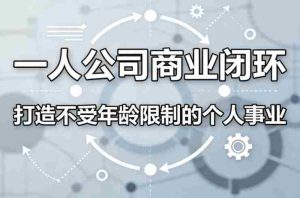 一人公司商业闭环，打造一份不受年龄限制的个人事业-网创资源