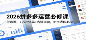 2026拼多多运营必修课：付费推广+选品爆单+店铺运营，新手进阶必学-网创资源