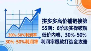 （17698期）拼多多高价铺链接第55期：6阶段实操破解低价内卷，30%-50%利润率爆款打造全攻略-网创资源