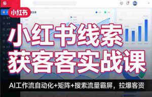 小红书线索获客实战课，AI工作流自动化+矩阵+搜索流量霸屏，拉爆客资-网创资源