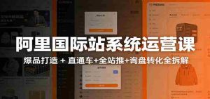 阿里国际站运营实战课：从店铺布局到TOP10旺铺，数据化运营，推广全攻略-网创资源