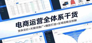 电商运营全体系干货，竞争定价+关键词推广+爆款打造+全域战略全拆解-网创资源