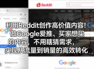 利用Reddit创作高价值内容！做Google爱推、买家想买的内容，不用瞎猜需求，实现从流量到销量的高效转化-网创资源