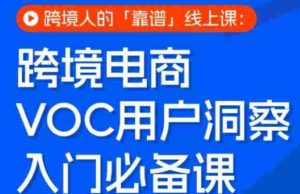 跨境电商VOC用户洞察入门必备课，跨境人的靠谱线上课-网创资源