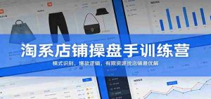 淘系店铺操盘手训练营：模式识别，爆款逻辑，有限资源找店铺最优解-网创资源