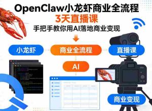OpenClaw小龙虾商业全流程3天直播课，手把手教你用AI落地商业变现-网创资源