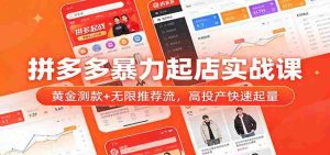 拼多多暴力起店实战课：黄金测款+无限推荐流，高投产快速起量-网创资源