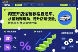 淘宝开店运营教程直通车，从基础到进阶，提升店铺流量，转化率和整体运营效率（更新26年3月24日）-网创资源