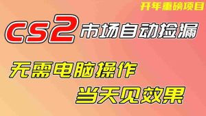 CS2市场挂机项，无需电脑操作，无需进入游戏，当天见效果，支持任何形式验证-网创资源