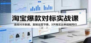 淘宝爆款对标实战课：透视对手数据，复制运营节奏，3天稳定出单超越同行-网创资源