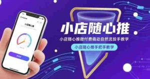 小店随心推微付费撬动自然流投手教学，小店随心推手把手教学（更新26年）-网创资源