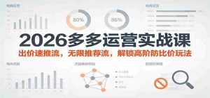 2026多多运营实战课：出价速推流，无限推荐流，解锁高阶防比价玩法（更新）-网创资源