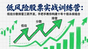 （17487期）低风险股票实战训练营：低估分散排雷三箭齐发，手把手教你构建十年十倍永续组合-网创资源