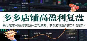 多多店铺高盈利复盘：暴力起店+微付费玩法+活动策略，解锁持续盈利SOP（更新）-网创资源