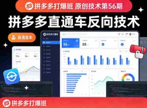 《拼多多打爆班》原创技术第56期，拼多多直通车反向技术-网创资源