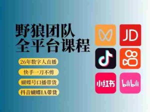 野狼团队2026新版全平台短视频带货教学，打开流量突破口，开始Ai带货（更新26年3月）-网创资源