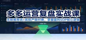 多多运营复盘实战课：无限推荐流+高投产微付费，掌握盈利SOP核心逻辑（更新）-网创资源