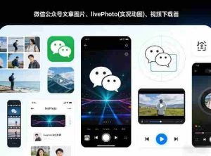 微信公众号文章图片、livePhoto(实况动图)、视频下载器-网创资源