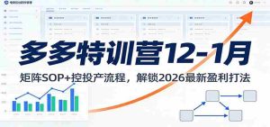 多多特训营12-1月：矩阵SOP+ 控投产流程，解锁2026最新盈利打法-网创资源