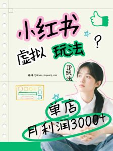小红书虚拟玩法（铺货流和单品玩法），单店月利润3000+，IP打法+原创商品（0违规）-网创资源