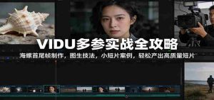 VIDU多参实战全攻略：海螺首尾帧制作，图生技法，小短片案例，轻松产出高质量短片-网创资源