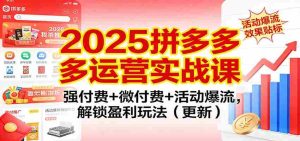 2025拼多多运营实战课：强付费+微付费+活动爆流，解锁盈利玩法（更新）-网创资源